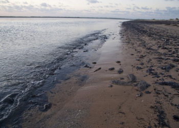 El petróleo llegó a tierra en Sergipe y otros lugares a lo largo de la costa noreste de Brasil. FOTO: MARCOS RODRIGUES / ZUMA PRESS