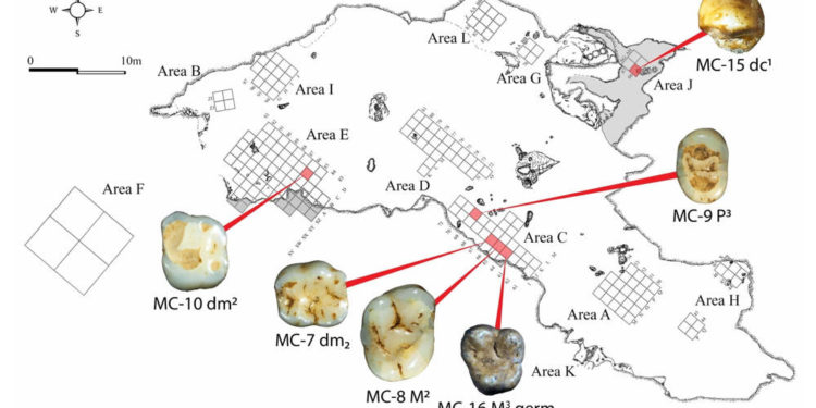 Un mapa de los sitios de excavaciones de la cueva Manot con indicación de la ubicación de los dientes de 40,000 años de antigüedad. (Dra. Rachel Sarig)