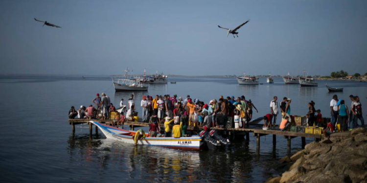 Venezuela, la puerta trasera para el narcotráfico a Europa - cocaína