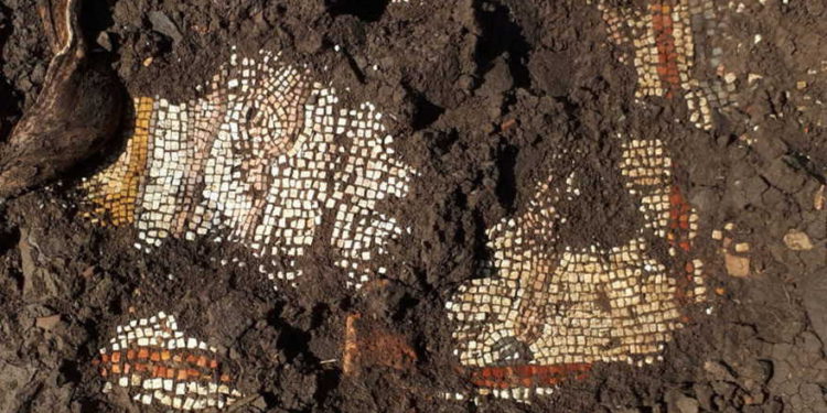 Mosaicos descubiertos en el Golán confirman la histórica presencia judía
