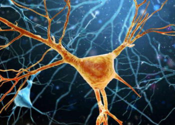 Tratamiento israelí podría retrasar los efectos mortales de la Esclerosis Lateral Amiotrófica