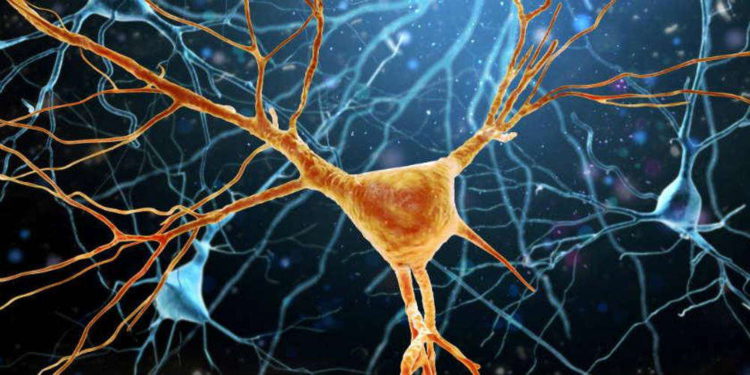 Tratamiento israelí podría retrasar los efectos mortales de la Esclerosis Lateral Amiotrófica