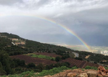 Arcoíris sobre Israel trae un bienvenido descanso de semanas de tormentas