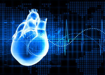 Equipo médico internacional busca desarrollar el primer corazón robótico híbrido
