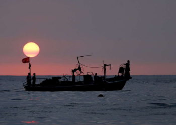 Mar Mediterráneo está alterado por especies invasoras del Canal de Suez