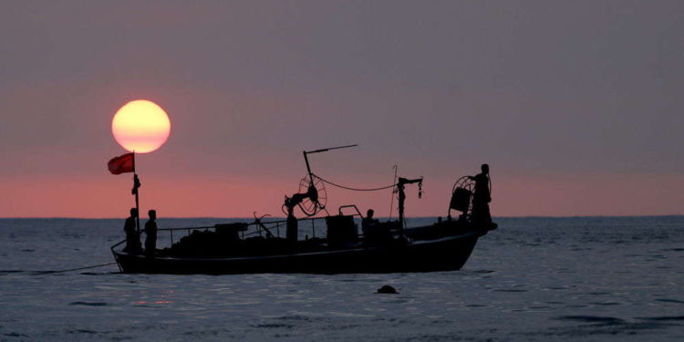 Mar Mediterráneo está alterado por especies invasoras del Canal de Suez