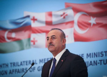 Libia elogia el despliegue de tropas de Turquía
