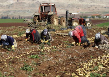 Autoridad Palestina bloquea las exportaciones entre Jordania e Israel