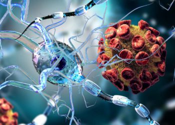Pérdida del olfato y gusto en pacientes de COVID-19 podría indicar que el objetivo del virus es el cerebro