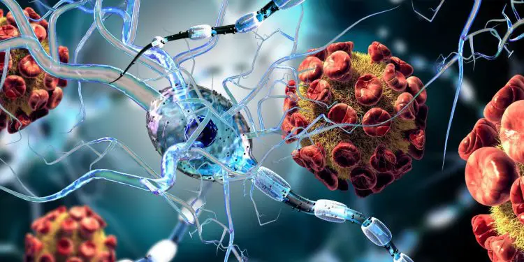 Pérdida del olfato y gusto en pacientes de COVID-19 podría indicar que el objetivo del virus es el cerebro