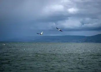 Por primera vez en 17 años, el Mar de Galilea está casi lleno