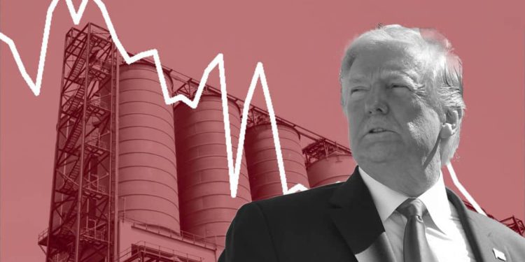 El pacto mundial para contener la caída del precio del petróleo toma forma
