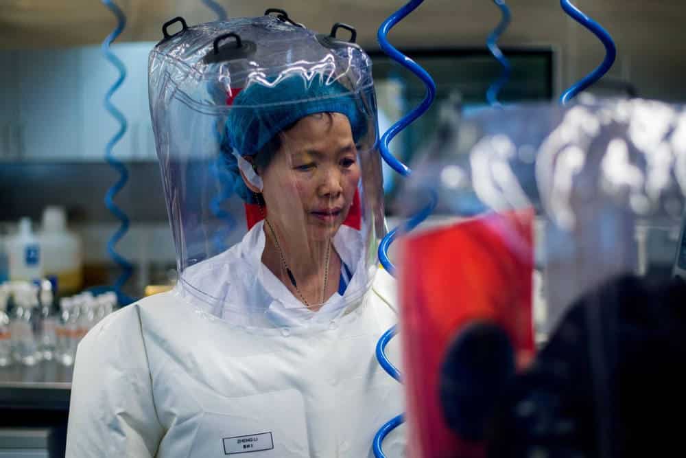 Experta en murciélagos de China dice que su laboratorio de Wuhan no fue la fuente del nuevo Coronavirus