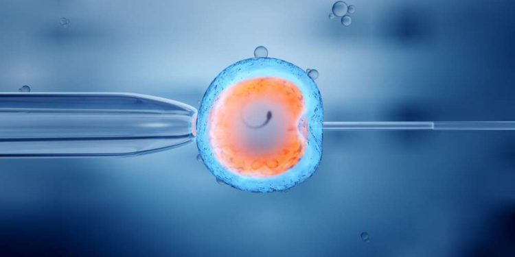 Israel volverá a permitir la fertilización in vitro para mujeres mayores de 39 años