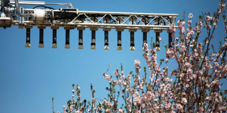 Tecnología israelí de polinización mecánica brinda esperanza ante la disminución de abejas