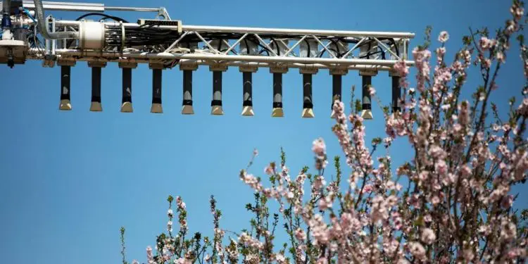 Tecnología israelí de polinización mecánica brinda esperanza ante la disminución de abejas