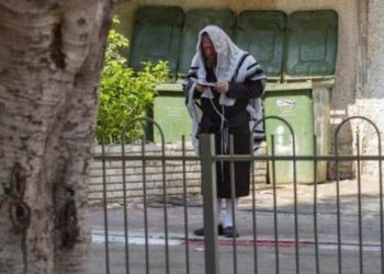 Judíos ultraortodoxos de Israel utilizan internet en medio del bloqueo por el coronavirus