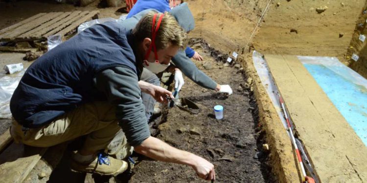 Arqueólogos descubren los restos de Homo sapiens más antiguos de Europa