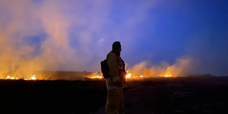 Incendios forestales en Israel en medio de histórica ola de calor