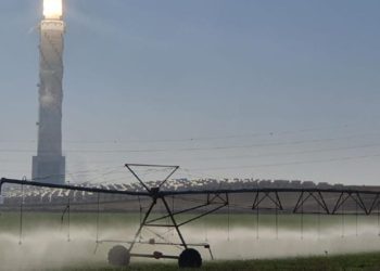 Nuevo Centro de Innovación del Néguev se centrará en la tecnología agrícola