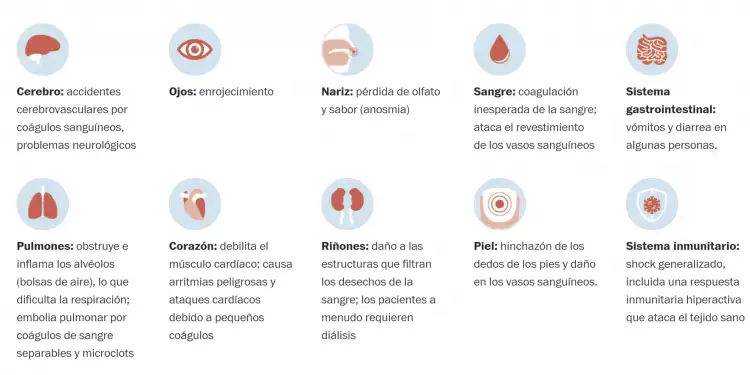 Los médicos siguen descubriendo nuevas formas en que el coronavirus ataca el cuerpo