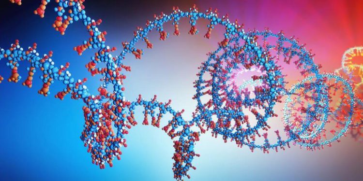 China publica datos de genoma del coronavirus diferente a la cepa europea