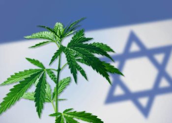 ¿Cómo Israel está a punto de legalizar la marihuana?