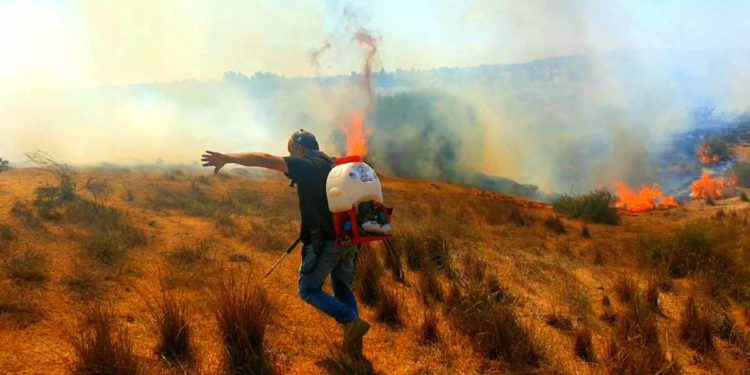 Incendios en el sur de Israel por globos inflamables de Gaza