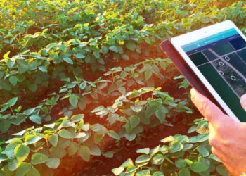 Startup israelí permite a los agricultores cultivar en agua salada