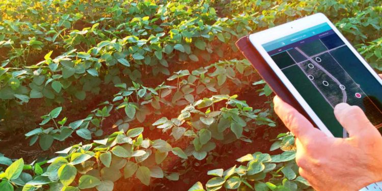 Startup israelí permite a los agricultores cultivar en agua salada