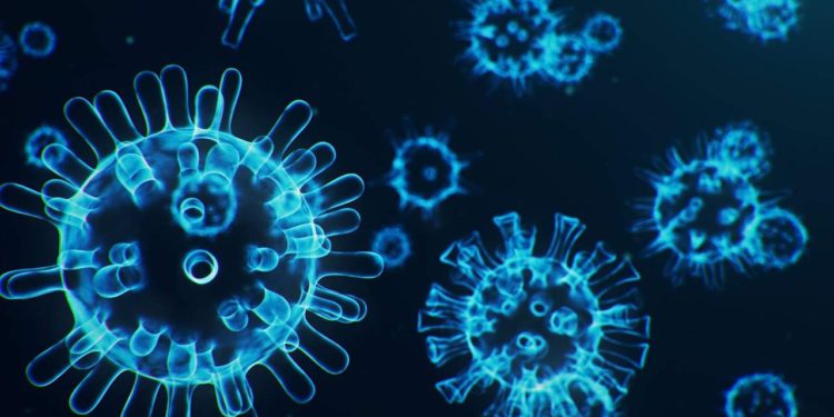 La gran mutación del coronavirus ha comenzado