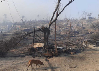 Campo de refugiados de Moria en Grecia quemado hasta los cimientos