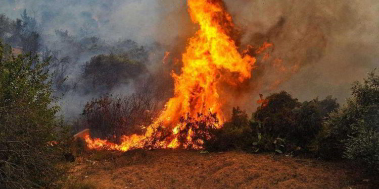 Incendio forestal a lo largo de la frontera entre Turquía y Siria