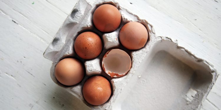 Huevos de origen vegetal con grietas en el mercado de alimentos de EE.UU.