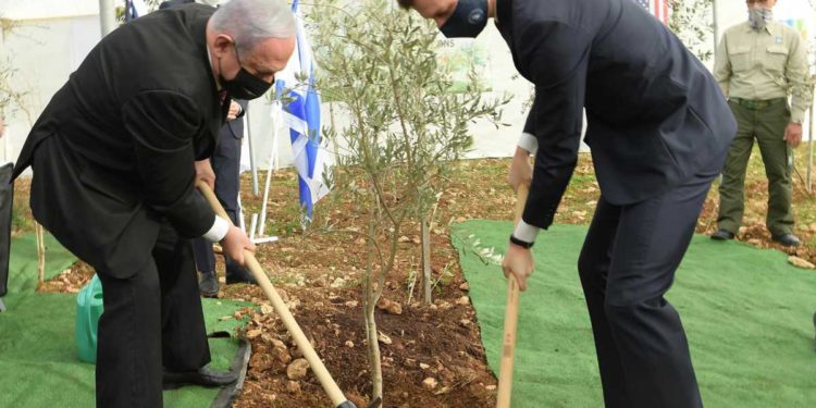 Kushner: Jerusalem no es la causa del problema, es el núcleo de la solución