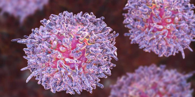 Científicos de Israel desarrollan herramienta para la medicación personalizada del cáncer