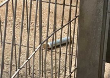 Policía de Israel frustra atentado con bomba en Samaria