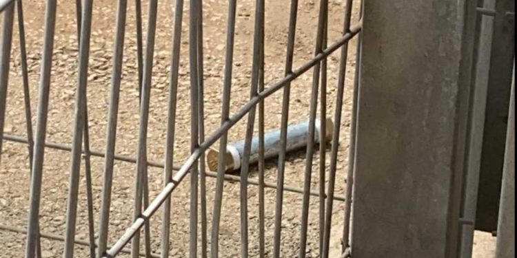 Policía de Israel frustra atentado con bomba en Samaria