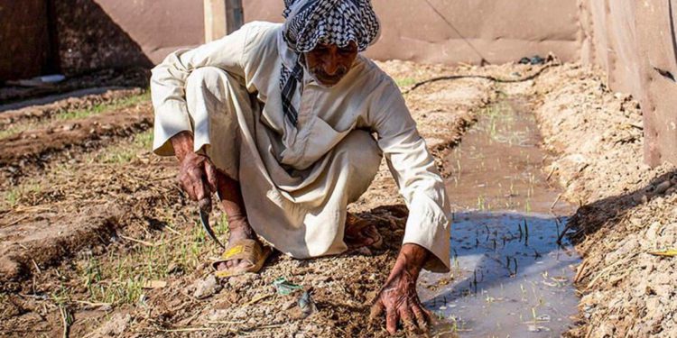 Egipto e Irak buscan mejorar la cooperación en la gestión del agua