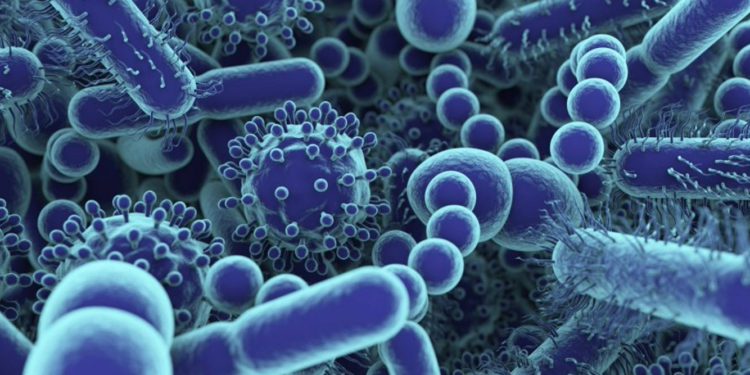 Científicos israelíes desarrollan método para combatir bacterias resistentes a los antibióticos