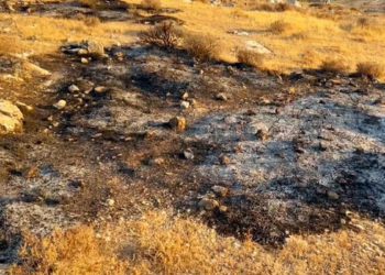 Activistas de B'Tselem detenidos por prender fuego cerca de Kiryat Arba