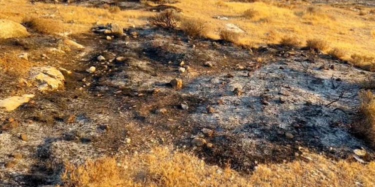 Activistas de B'Tselem detenidos por prender fuego cerca de Kiryat Arba