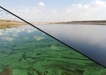 Científicos israelíes trabajan para curar los lagos afectados por las algas tóxicas