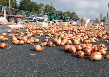 La protesta de los agricultores israelíes se dirige a la reunión del gabinete en Jerusalén