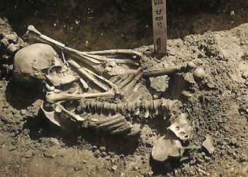 Un esqueleto parcial revela el ataque de tiburón más antiguo conocido en el mundo