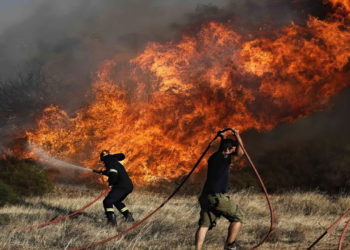 Chipre pide ayuda a Israel y a la UE para combatir el incendio forestal