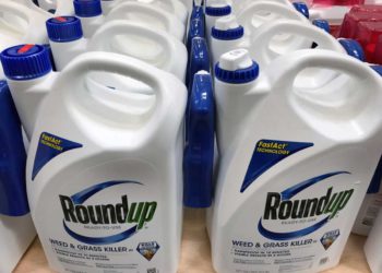 Bayer provisionará $4.500 millones extra por el litigio del Roundup