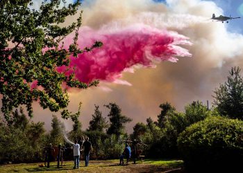 Israel recurre a la ayuda internacional para combatir los incendios en Jerusalén