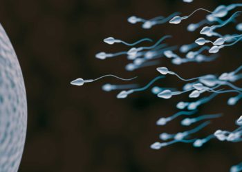 Estudio israelí: Las vacunas contra el COVID no dañan la fertilidad masculina