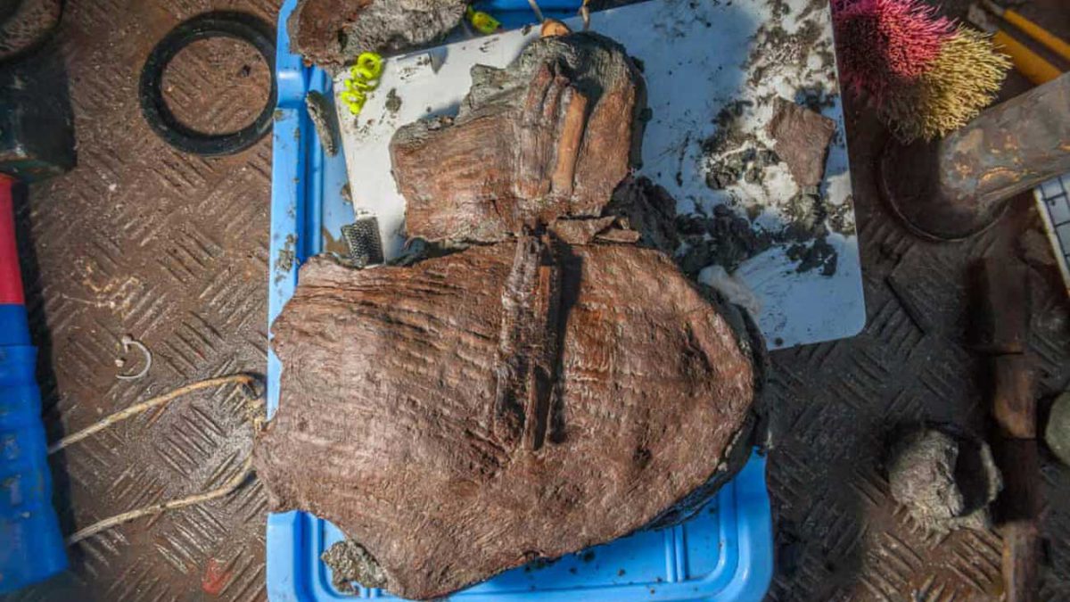 Hallan cestas con frutas del siglo IV a.C. en una ciudad egipcia sumergida